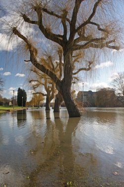 Peterborough, Cambridgeshire