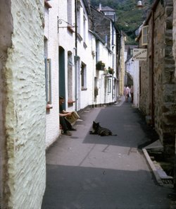Polperro