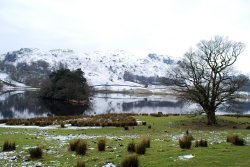 Rydal Water