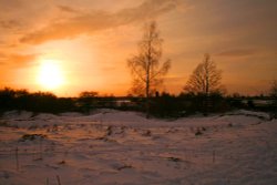 Barnack Hills and Holes NNR