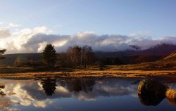 Kelly Hall Tarn, Torver