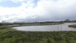 Filey Dams Nature Reserve