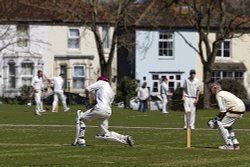 Fareham Cricket