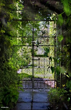 Upton Country Park, Poole, Dorset.