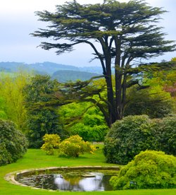 A beautiful view Marple Bridge
