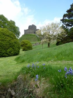 Strategic but beautiful