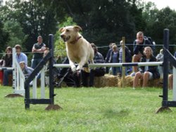 Frampton Country Fair
