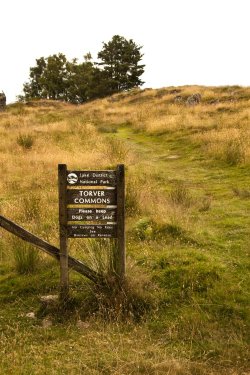 Torver Common, Coniston