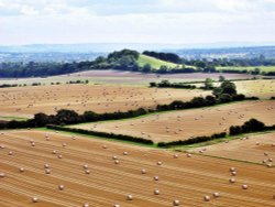 Zeals Knoll, Maiden Bradley