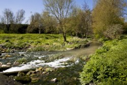 Biss Meadows Country Park, Trowbridge