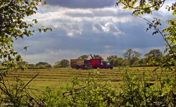 Stour Valley Spring, Shillingstone.