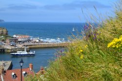 Whitby Harbour