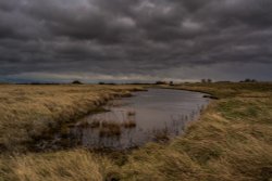 Saltfleet Dunes