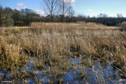 Blandford Forum, Dorset.