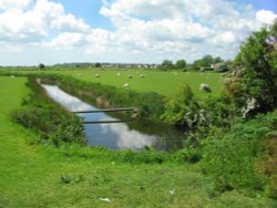 Rye Harbour Nature Reserve