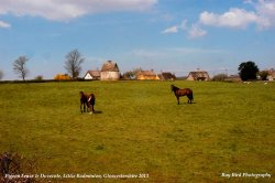 Pigeon Leaze Field, Little Badminton, Gloucestershire 2013
