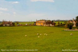 Pigeon Leaze Field, Little Badminton, Gloucestershire 2012