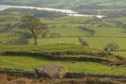 View above Meerbrook, Staffordshire