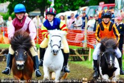 Pony Racing, Castle Combe Steam Rally & Country Fair, Wiltshire 2016