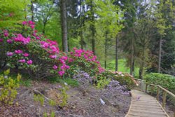 Himalayan Garden and Sculpture Park, near Ripon