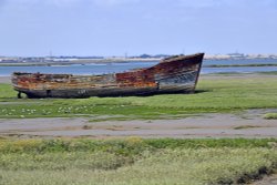 Gillingham Country Park - sorry no trips today