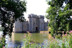 Bodiam through trees