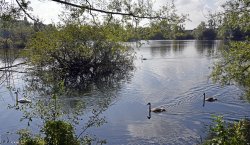 Leybourne Lakes Country Park