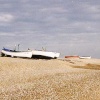 A picture of Dunwich
