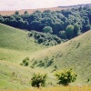 A picture of Bedfordshire