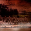 Arlington Row, Bibury