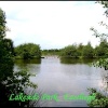 View of the bridge Lakeside country Park Eastliegh