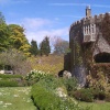 Walmer Castle from gardens