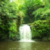Thomason Foss Waterfall, Beck Hole, Goathland, North Yorkshire Moors