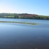 Teign estuary, Devon