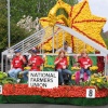 Spalding Flower Parade