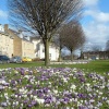 The Stray, Harrogate, North Yorkshire. 2005
