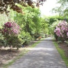 Golders Green Crematorium Garden