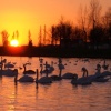 Dovercourt Boating Lake, Essex