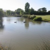 Black Swans on the lake at Amberley Castle