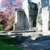 Bishop's Waltham Palace Ruins