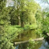 In a wood in Wheathampstead, Hertfordshire