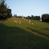 Windmill Hill, Hitchin