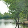 Connaught Waters, Epping Forest, Essex