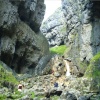 Gordal Scar, a gigantic collapsed cave system, 1/2 mile east of Malham, Yorkshire Dales
