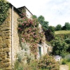A picture of Brook Cottage Gardens, Alkerton