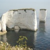 Harrys Rock, Studland, Dorset