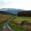 View Of Cheviot, the Cheviot Hills, Northumberland.