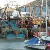 Fishing boats in the harbour. Whitstable, Kent