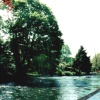 River Itchen in Winchester