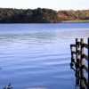 A picture of Talkin Tarn Country Park